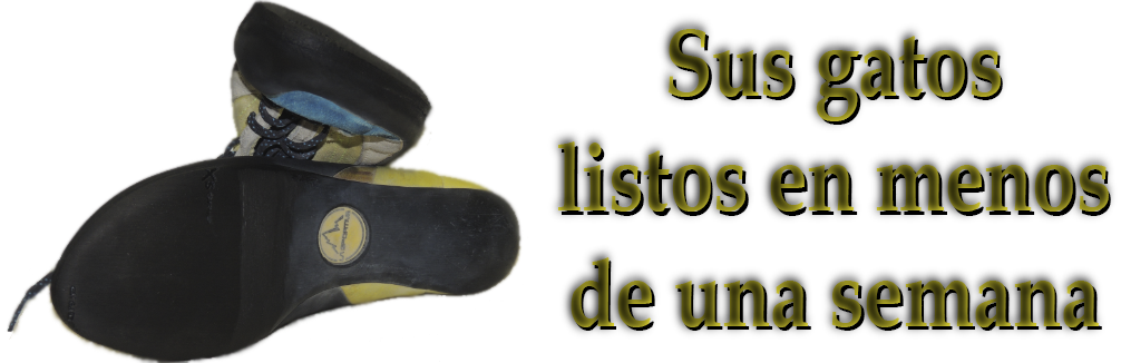 Promo gatos
